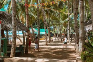 estaca-bay-resort-cebu-gallery