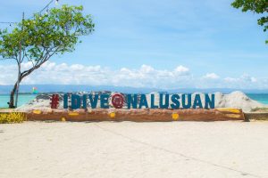 nalusuan-island-diving-snorkeling-tour-cebu-gallery