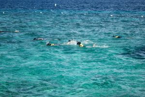 nalusuan-island-diving-snorkeling-tour-cebu-gallery