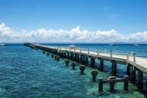 nalusuan-island-diving-snorkeling-tour-cebu-gallery