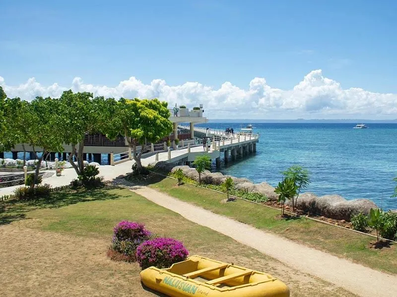 nalusuan-island-diving-snorkeling-tour-cebu-mobile