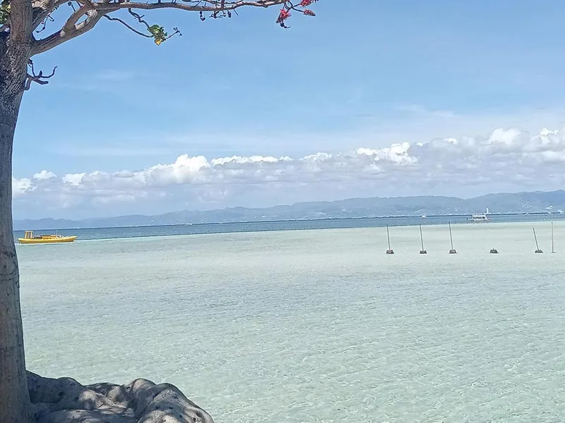 nalusuan-island-diving-snorkeling-tour-cebu-mobile