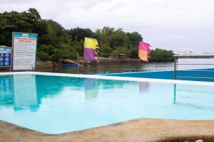 papa-kits-marina-cebu-gallery